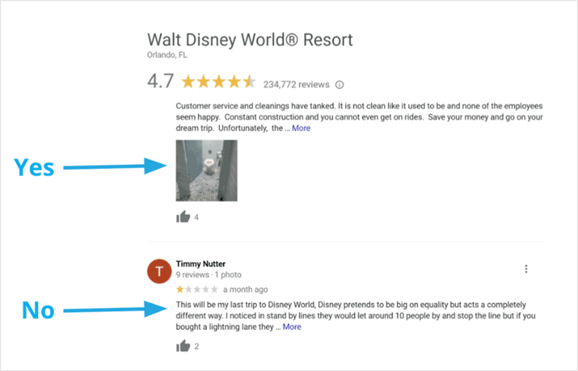 Google Business Profile Review Disney